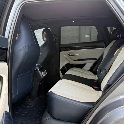Song PLUS New Energy 2021 EV Flagship Edition