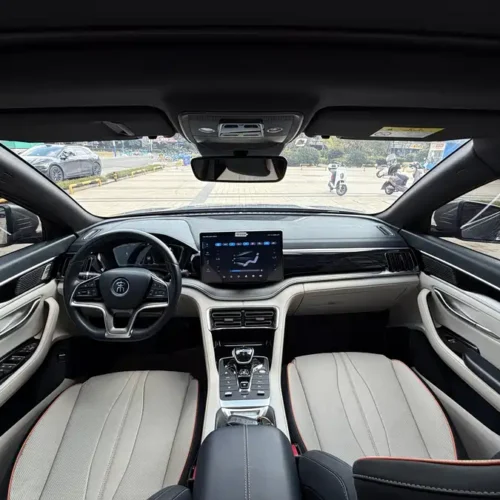 Song PLUS New Energy 2021 EV Flagship Edition