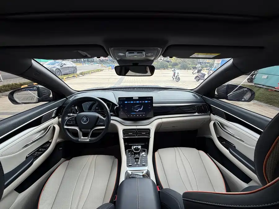 Song PLUS New Energy 2021 EV Flagship Edition