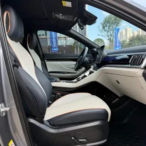 Song PLUS New Energy 2021 EV Flagship Edition