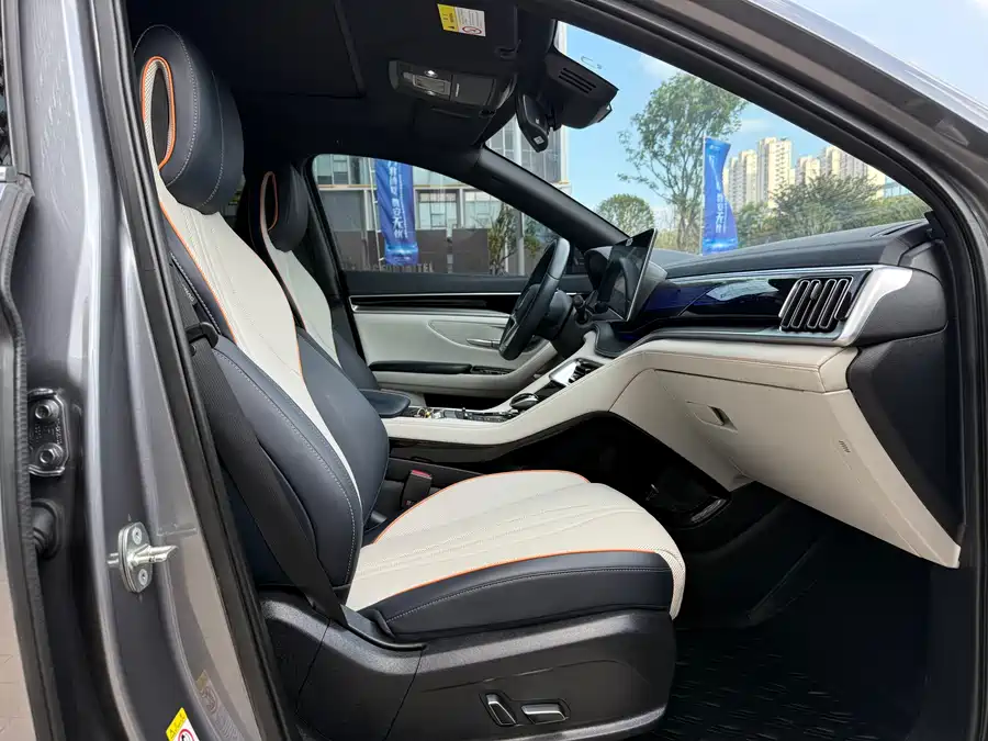 Song PLUS New Energy 2021 EV Flagship Edition