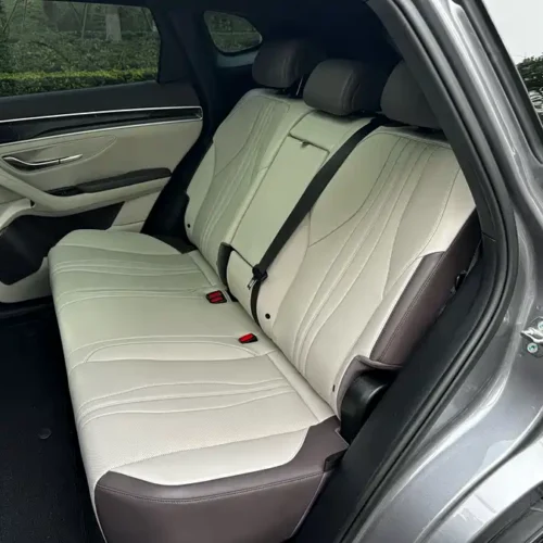 Song PLUS New Energy 2025 DM-i Smart Driving Edition 112KM Premium Model