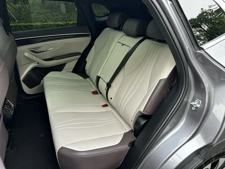 Song PLUS New Energy 2025 DM-i Smart Driving Edition 112KM Premium Model