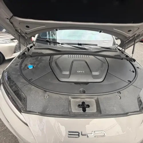 (BYD Seal U)Song PLUS New Energy 2024 Glory Edition DM-i 110km Flagship Model