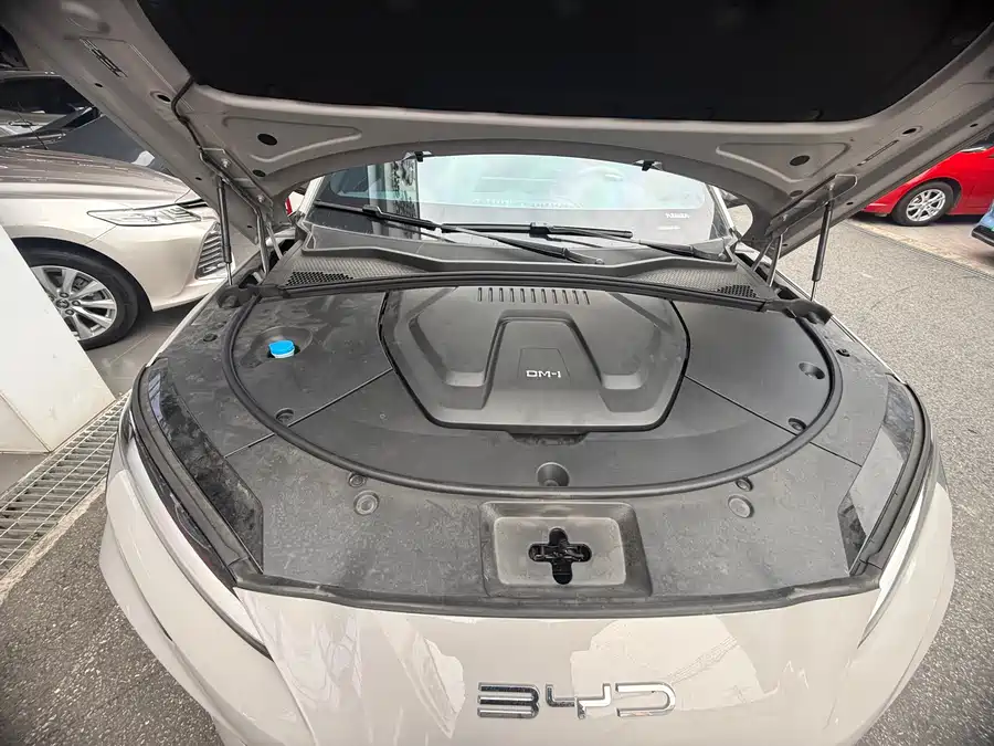 (BYD Seal U)Song PLUS New Energy 2024 Glory Edition DM-i 110km Flagship Model