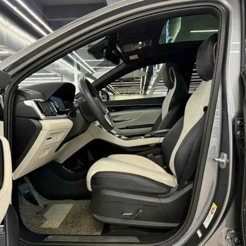 (BYD Seal U)Song PLUS New Energy 2021 DM-i 110KM Flagship PLUS