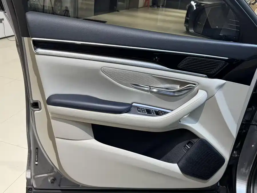 Song PLUS New Energy 2023 Champion Edition DM-i 110KM Flagship PLUS