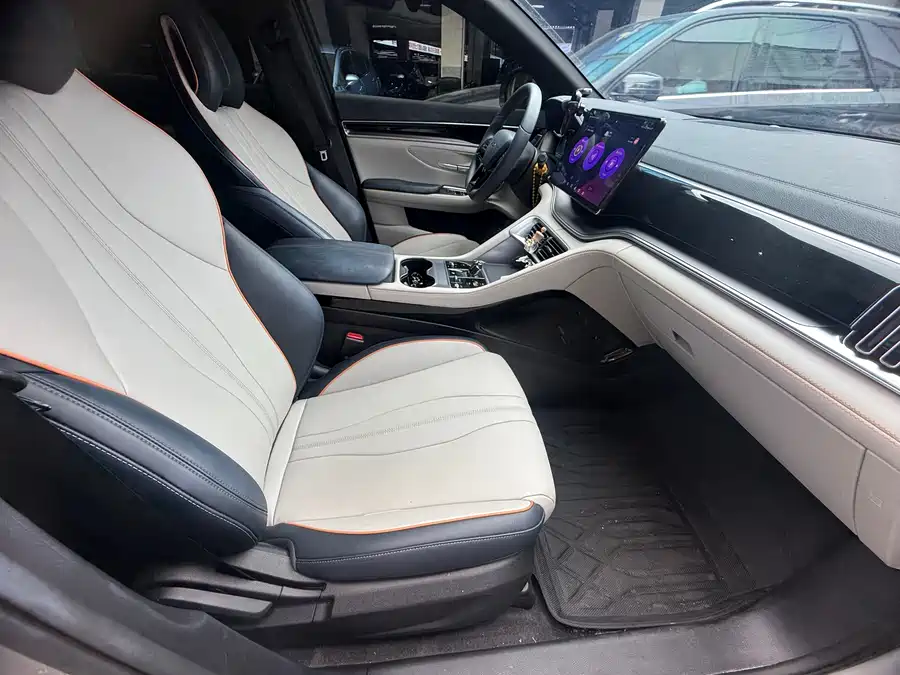 (BYD Seal U)Song PLUS New Energy 2024 Glory Edition DM-i 110km Flagship Model