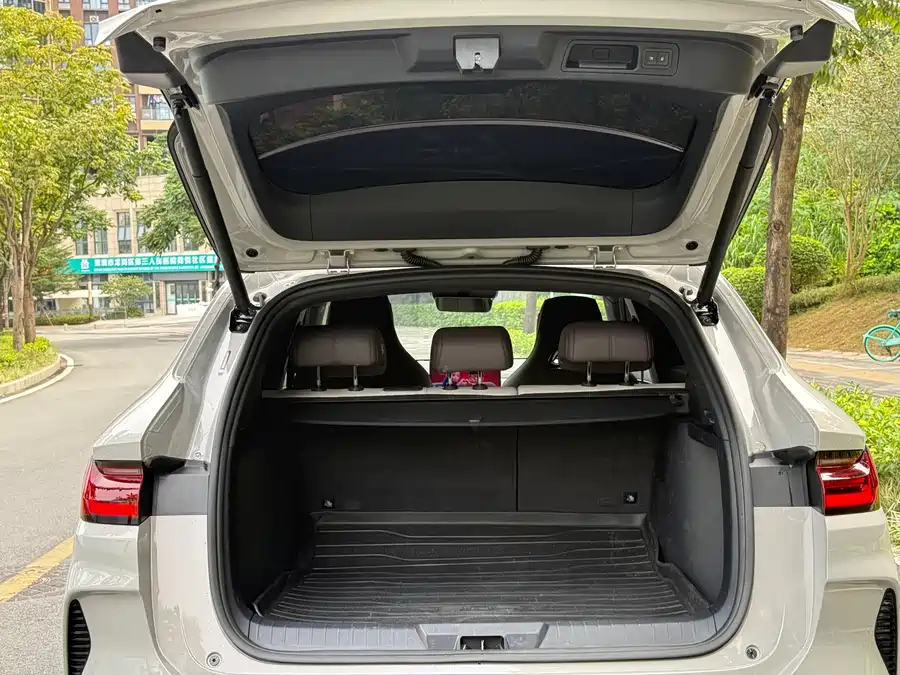 Song PLUS New Energy 2025 DM-i 112KM Premium Edition