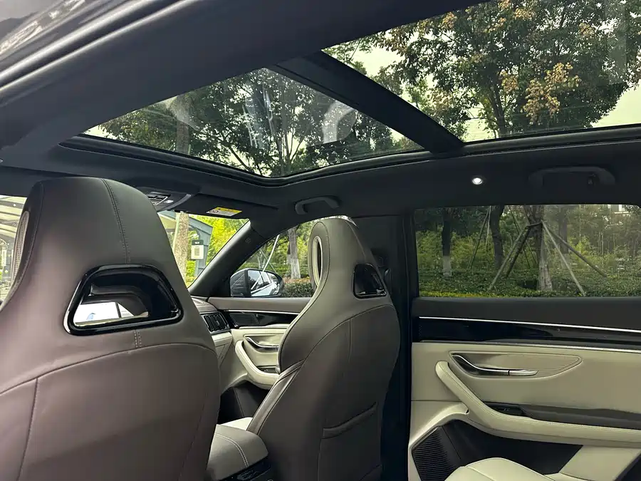 Song PLUS New Energy 2025 DM-i Smart Driving Edition 112KM Premium Model