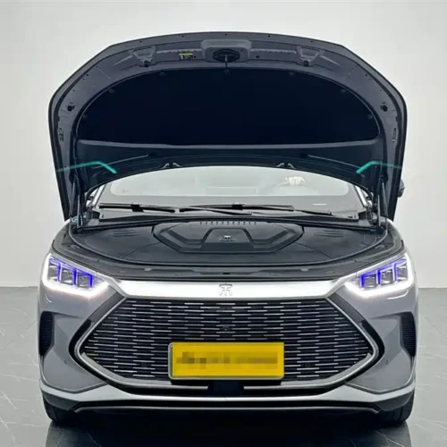 Song PLUS New Energy 2021 DM-i 110KM Flagship PLUS
