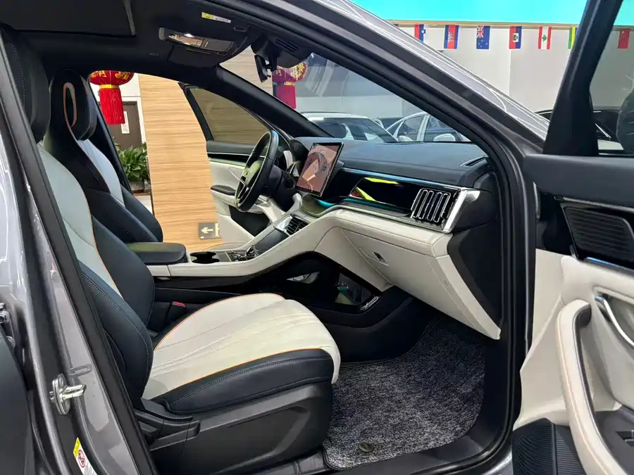 Song PLUS New Energy 2024 Glory Edition DM-i 71km Luxury Model