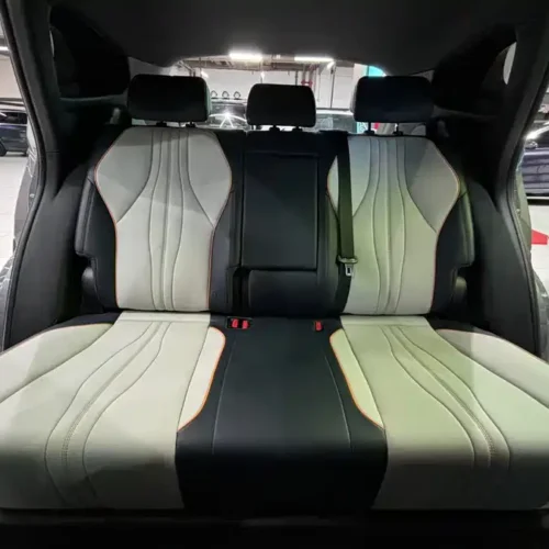 Song PLUS New Energy 2024 Glory Edition DM-i 71km Luxury Model