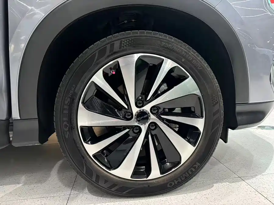 Song PLUS New Energy 2024 Glory Edition DM-i 71km Luxury Model