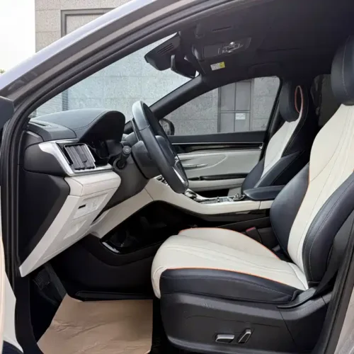Song PLUS New Energy 2021 EV Flagship Edition