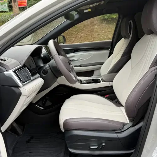Song PLUS New Energy 2025 DM-i 112KM Premium Edition