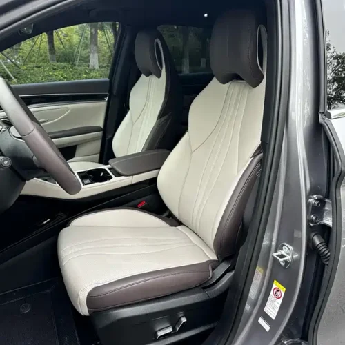 Song PLUS New Energy 2025 DM-i Smart Driving Edition 112KM Premium Model