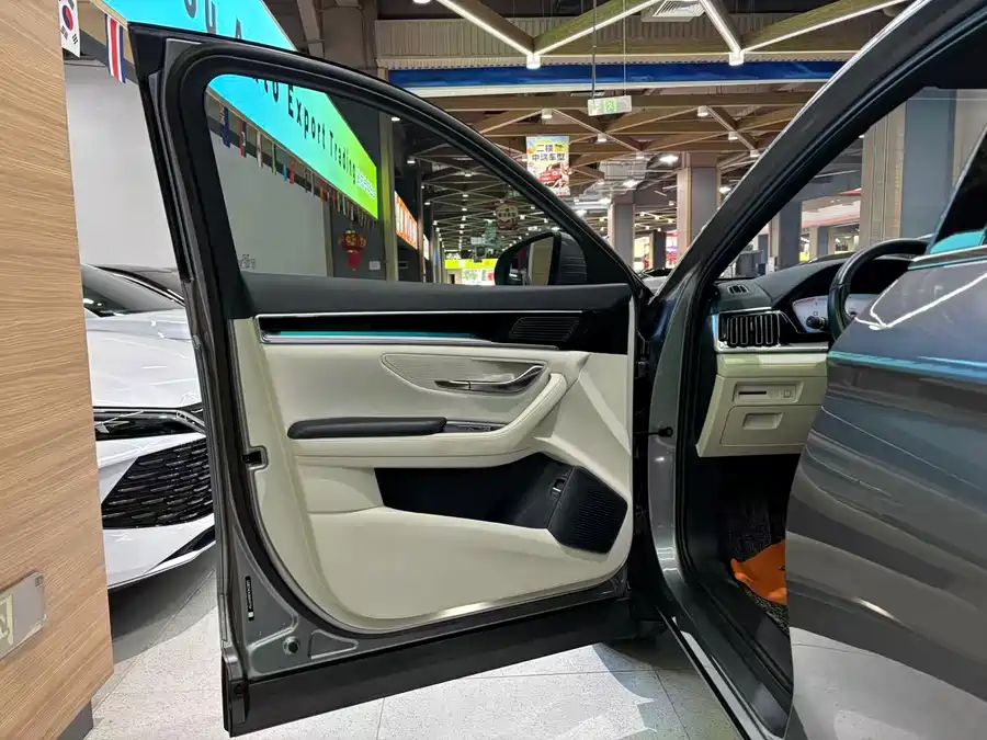 Song PLUS New Energy 2024 Glory Edition DM-i 71km Luxury Model