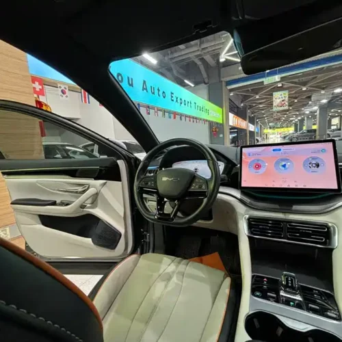 Song PLUS New Energy 2024 Glory Edition DM-i 71km Luxury Model