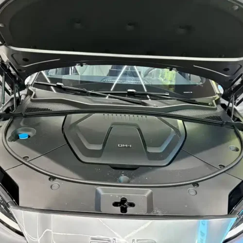 Song PLUS New Energy 2024 Glory Edition DM-i 71km Luxury Model