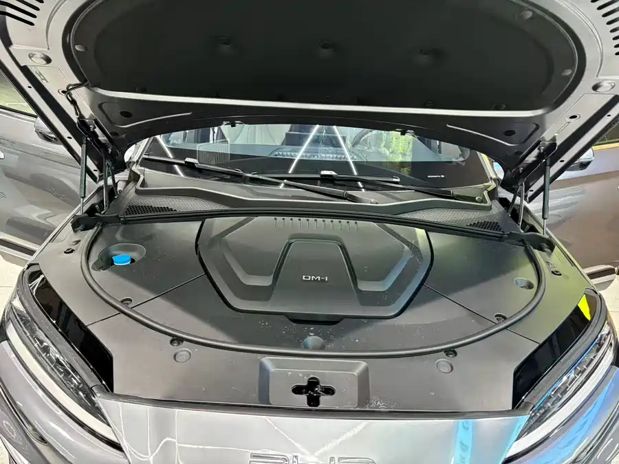 Song PLUS New Energy 2024 Glory Edition DM-i 71km Luxury Model