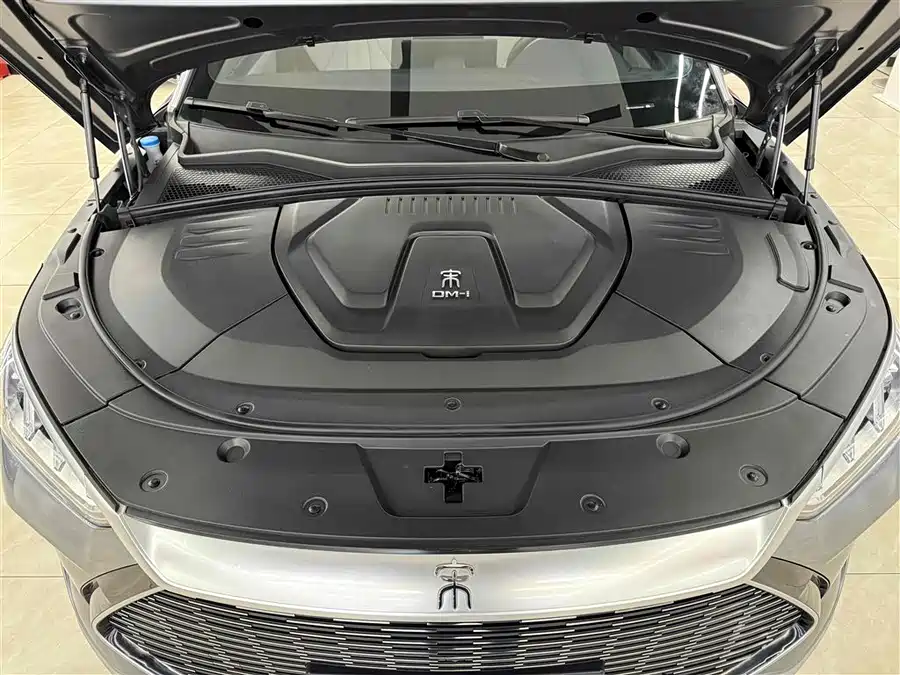 (BYD Seal U)Song PLUS New Energy 2021 DM-i 110KM Flagship PLUS