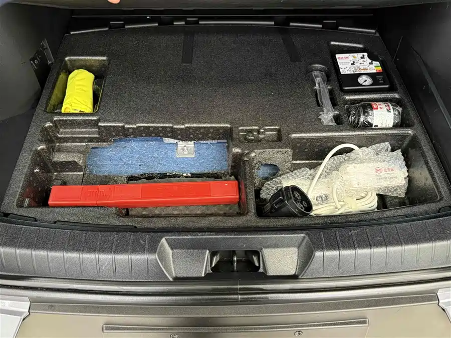 (BYD Seal U)Song PLUS New Energy 2021 DM-i 110KM Flagship PLUS