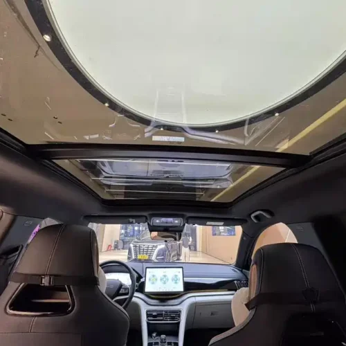 Song PLUS New Energy 2023 Champion Edition DM-i 110KM Flagship PLUS