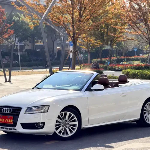 Used Audi A5 (imported) 2010 2.0TFSI Cabriolet