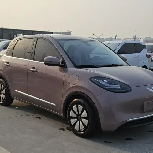Used Wuling Bingo 2023 model 333km express model