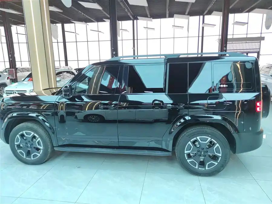 Used BYD Leopard Titanium 7 2025 200KM two-wheel drive Max version