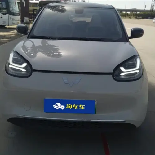Used Wuling Bingo 2023 model 410km Lingxi exclusive model