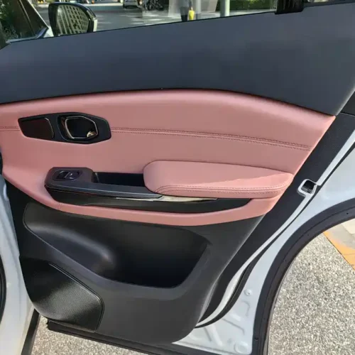 900x675_0_q87_c42_autohomecar__ChtpWGj0aCKABfgBAAVG0nPRNDo779.jpg.webp Used NIO EC6 2020 440KM Performance Edition