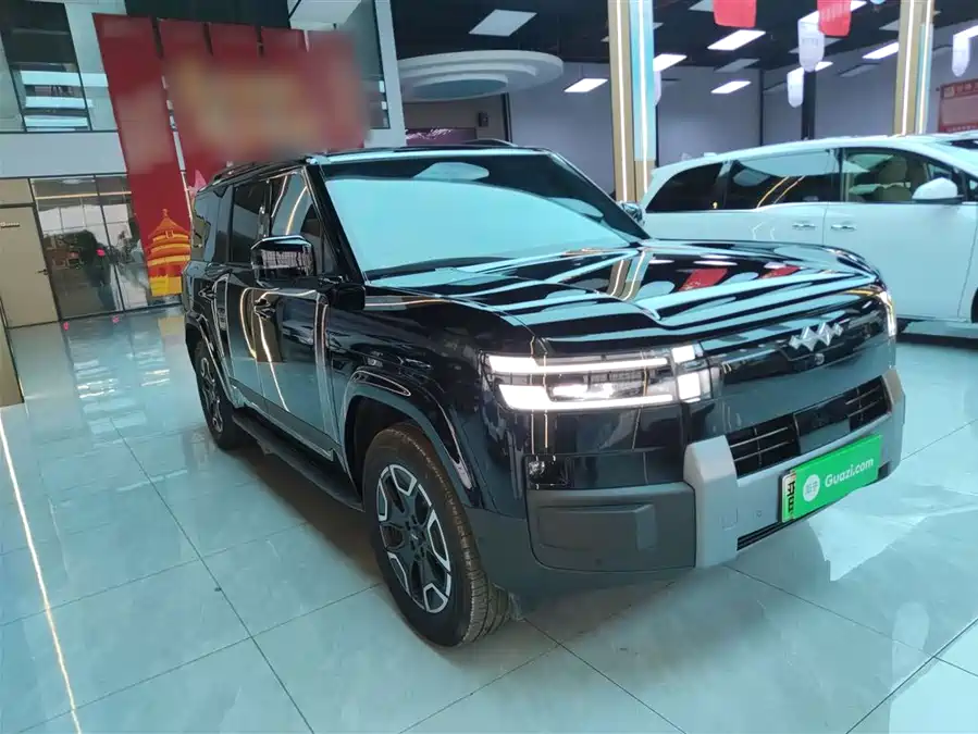 Used BYD Leopard Titanium 7 2025 200KM two-wheel drive Max version