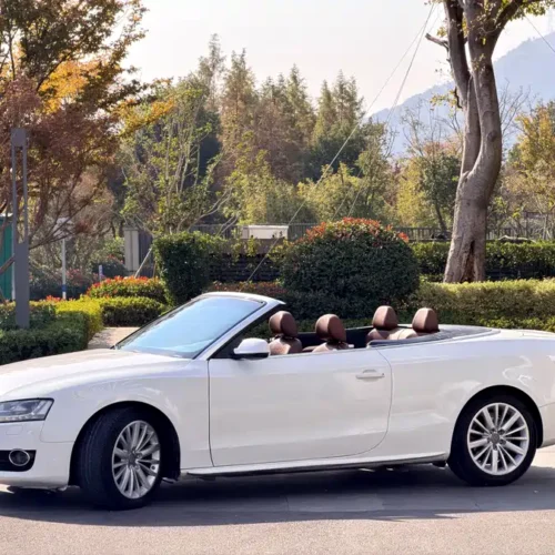 Used Audi A5 (imported) 2010 2.0TFSI Cabriolet