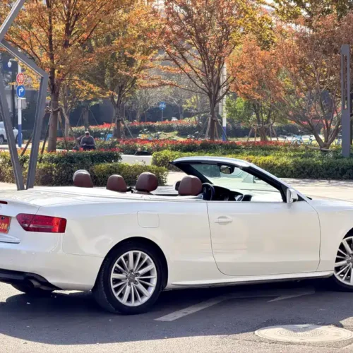 Used Audi A5 (imported) 2010 2.0TFSI Cabriolet