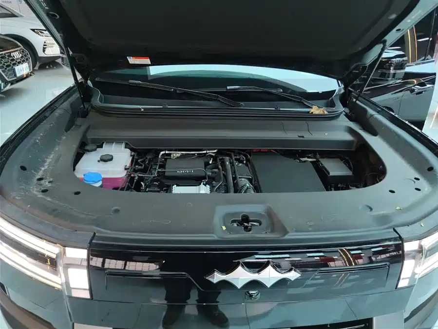 Used BYD Leopard Titanium 7 2025 200KM two-wheel drive Max version