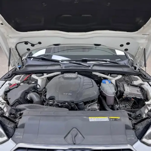 Used Audi A5 (Imported) 2019 Coupe 40 TFSI Fashion Type National V