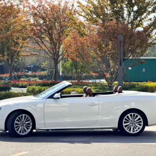 Used Audi A5 (imported) 2010 2.0TFSI Cabriolet