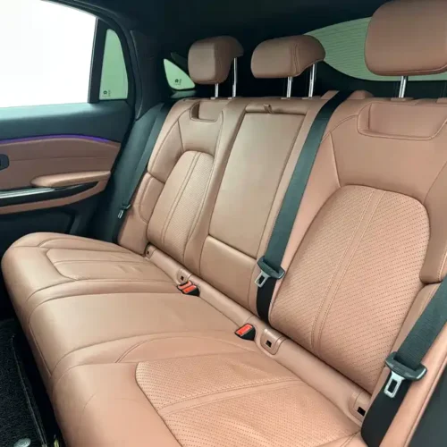 900x675_0_q87_c42_autohomecar__ChxpVWlHkRqAeq1IAAkge5peERM753.jpg.webp Used NIO EC6 2020 615KM Performance Edition