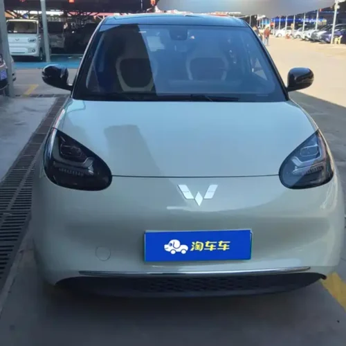 Used Wuling Bingo 2023 model 333km Lingxi Internet+ model