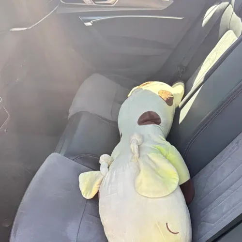 900x675_0_q87_c42_autohomecar__ChxpVmkf-DKAb0FPAAdPmh-_1jc683.jpg.webp Used Audi A6L 2024 45 TFSI Premium Dynamic Model