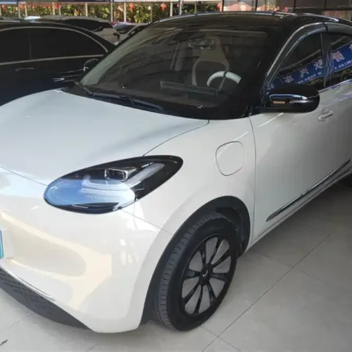 Used Wuling Bingo 2024 model 333km Yuexiang model
