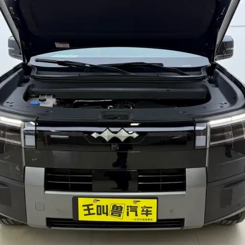 Used BYD Leopard Titanium 7 2025 190KM four-wheel drive Max version