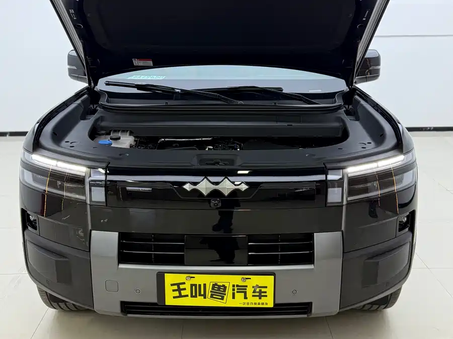 Used BYD Leopard Titanium 7 2025 190KM four-wheel drive Max version