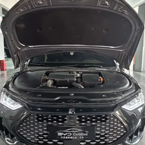 Used BYD Han 2023 DM-i Champion Edition 121KM Exclusive Type