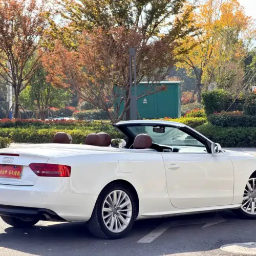 Used Audi A5 (imported) 2010 2.0TFSI Cabriolet
