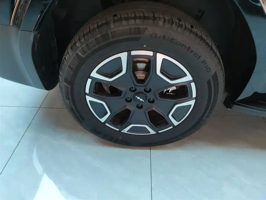 Used BYD Leopard Titanium 7 2025 200KM two-wheel drive Max version