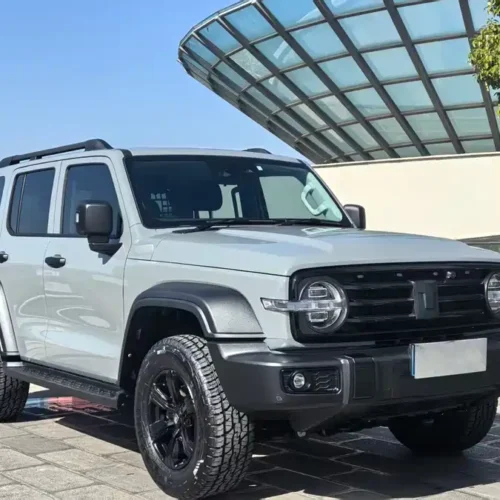 900x675_0_q87_c42_autohomecar__Chto52k2Mk-AJnrWAAhVLFwiHqo561.jpg.webp Used GWM Tank 300 2021 Off-Road Version 2.0T Conqueror