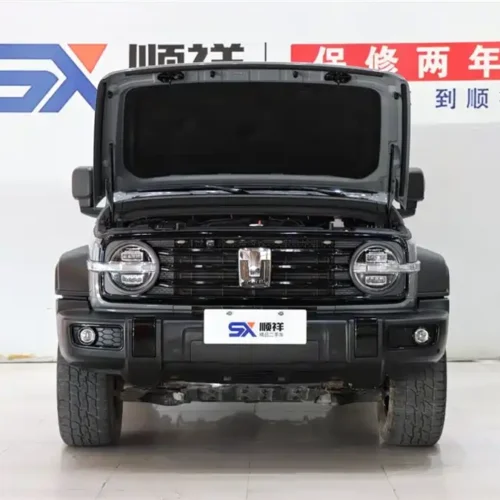 900x675_0_q87_c42_autohomecar__Chto52khVayAZ33vAAEo4KGPg9s835.jpg.webp Used GWM Tank 300 2021 Off-Road Version 2.0T Conqueror